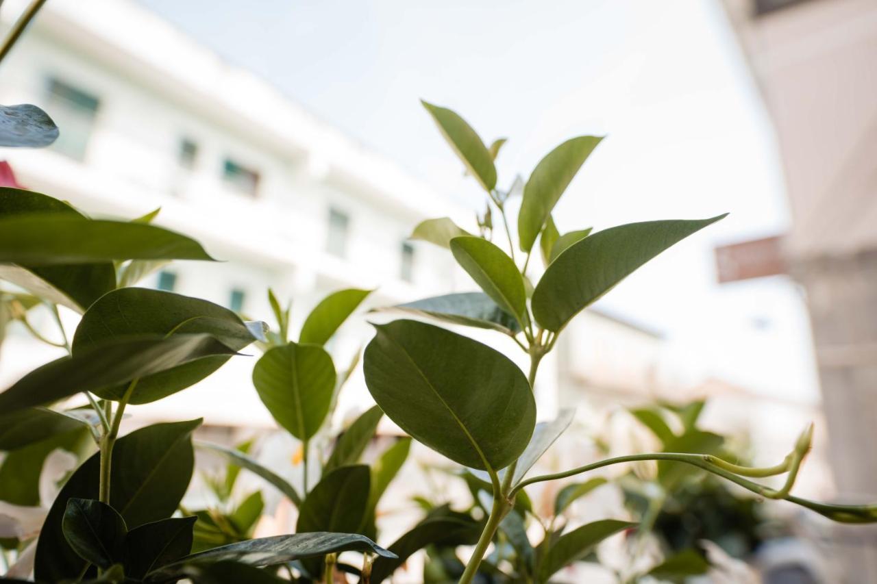 B&B Dell'Infopoint-La Via Silente Castelnuovo Cilento ภายนอก รูปภาพ